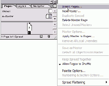   Pages 