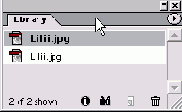   List View 